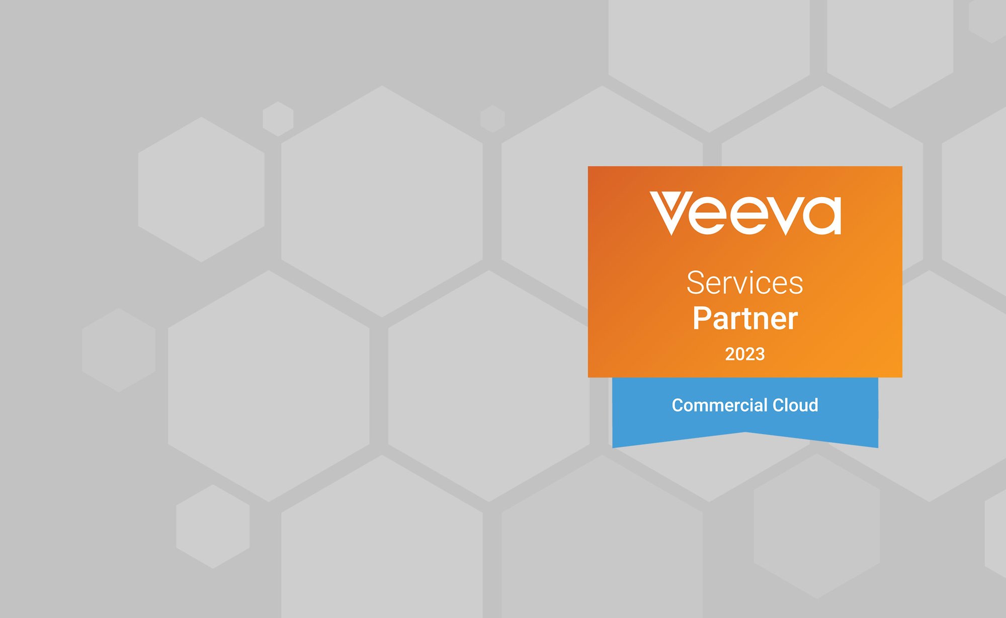 veeva-services-partner-2023